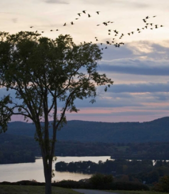 Lake Waramaug State Park