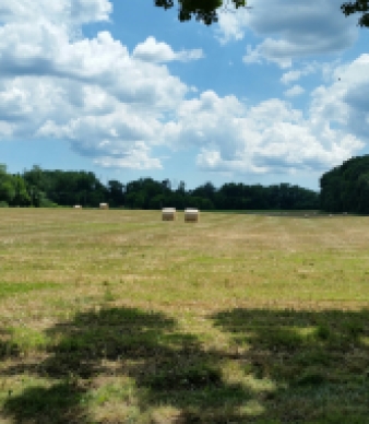 Sunny Valley Preserve